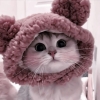 Little Meozzz